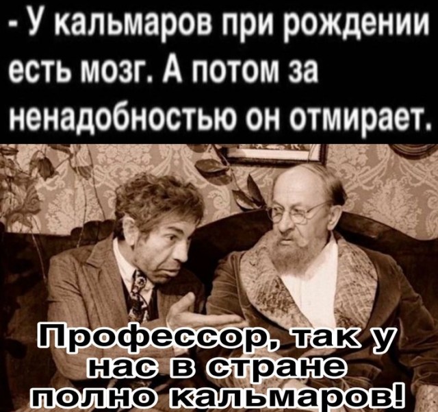 Прикольные и просто красивые картинки 24.01.2025