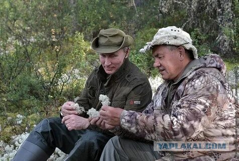 Почему был уволен глава Роскосмоса