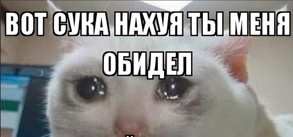 В Краснодаре у ночного клуба расстреляли бойца ММА после того, как чеченец проиграл ему в драке