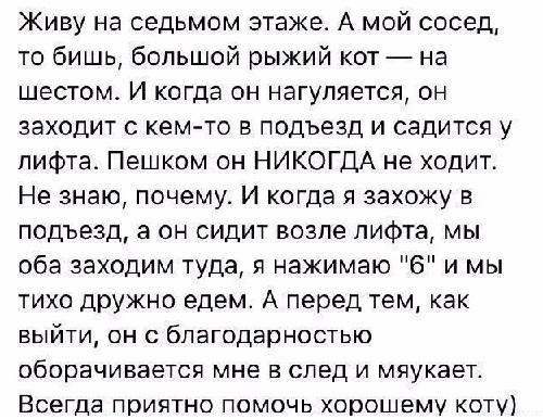 Без проблем