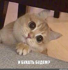 Иллюстрации