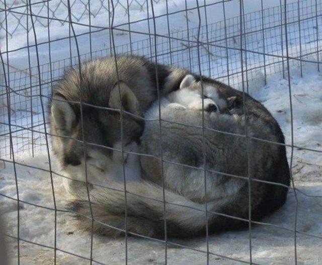 Мамы, они у всех мамы.