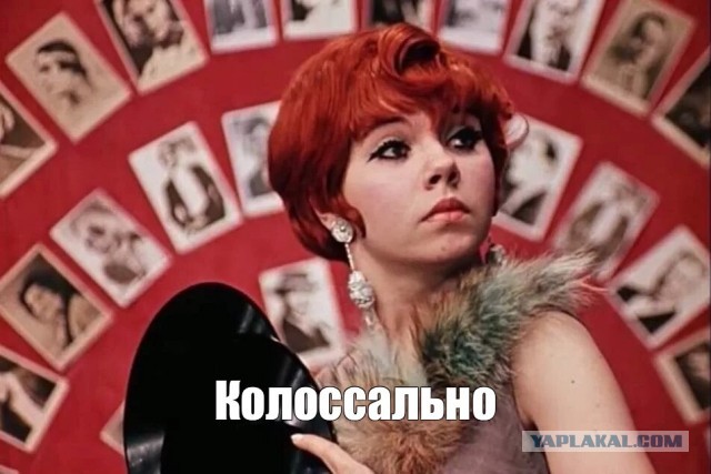 Как работают разные дюбели