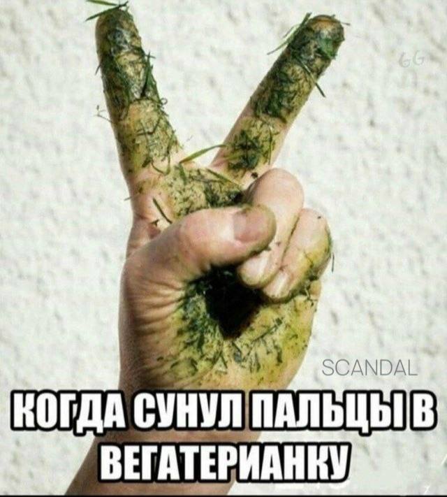 Веганство, сука, опасное...