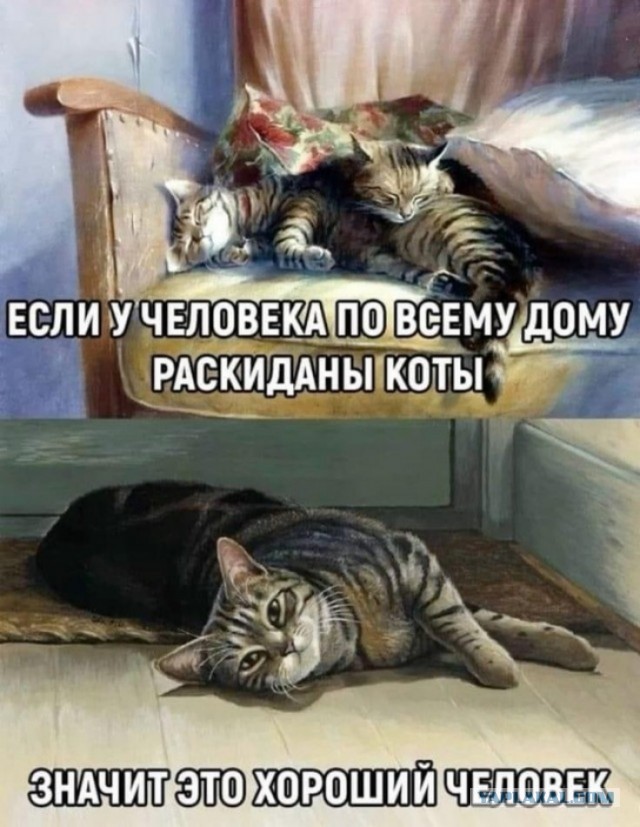 Так себе картинки 29.08.25