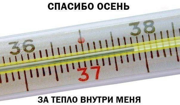 Картинки для деградации 58 (разной степени свежести)