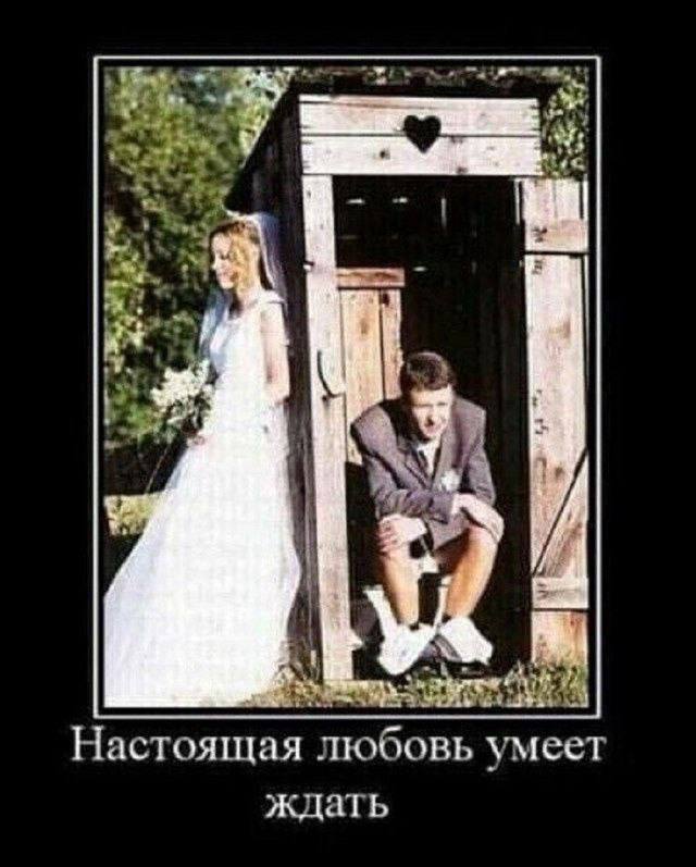 Картинки для деградации 73 (разной степени свежести)