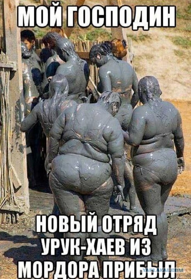 Так себе картинки 29.01.26