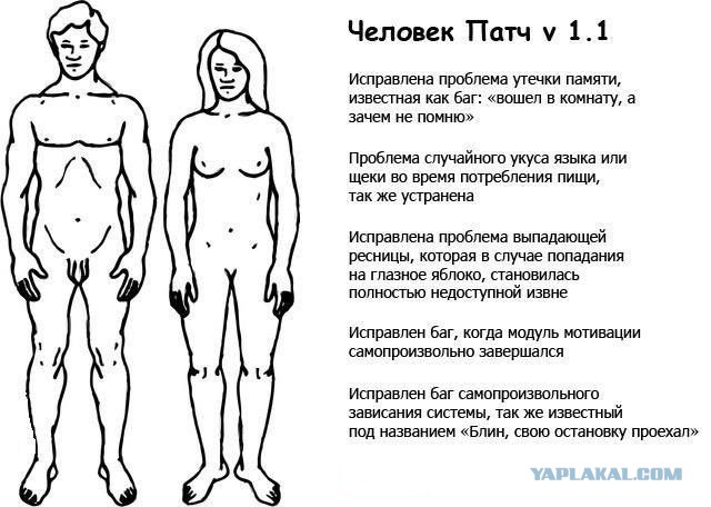 Сексуальные факты (22 фото)
