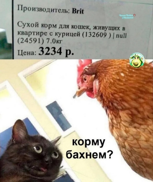 К котовторнику: подборка картинок-баянов с котиками и про котиков. Выпуск 38.