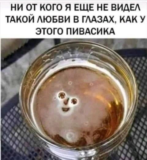 Мемы и картинки про трезвость