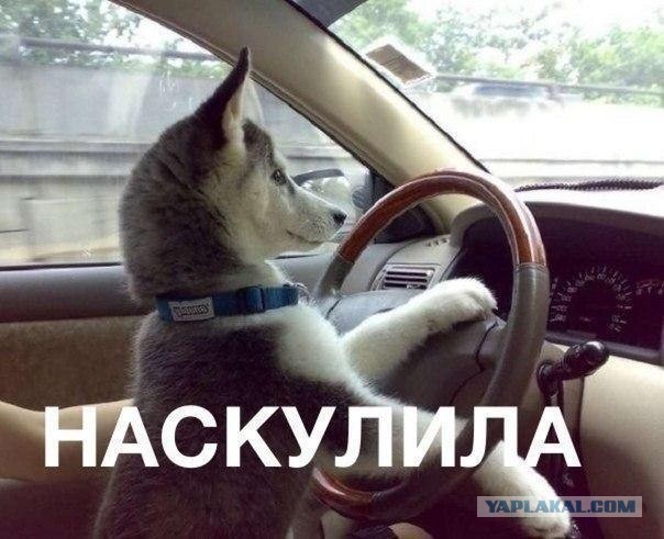 ...а подарили!