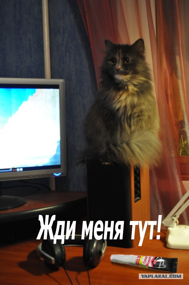 Суеверия