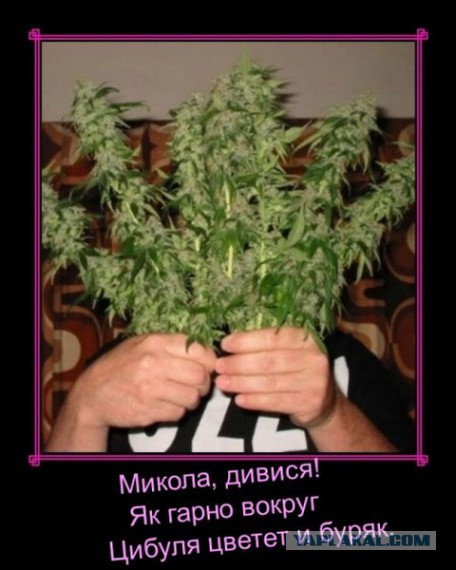Смешные комментарии из социальных сетей #2