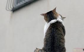 В Харькове сейчас прорвало канализацию!