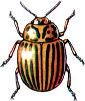 Добрались до Беларуси