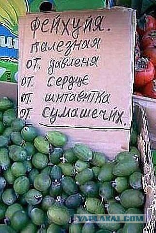 Псаки с другом