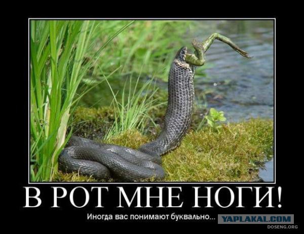 Чёрт, чёрт, чёрт!