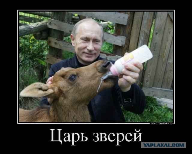 Джен Псаки о ситуации в мире