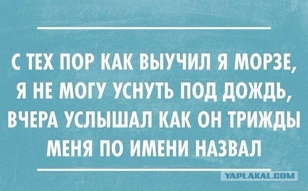 Подборка веселых картинок