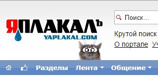 Новый японский тренд — котомонтаж.