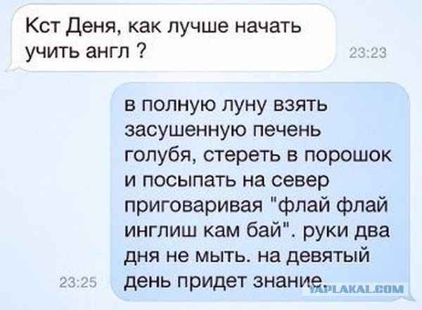 Смешные комментарии из социальных сетей