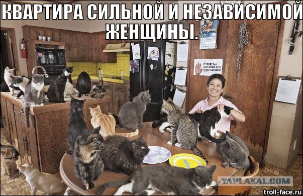 Лишь бы девушка была