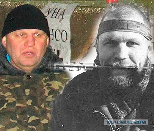 Шарий и ЯП