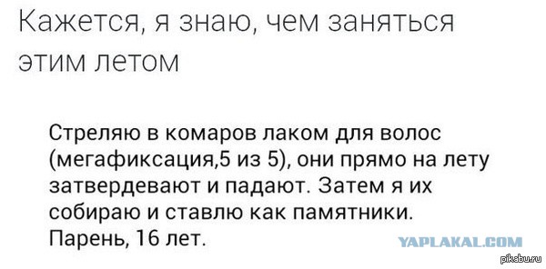 9 необычных способов избавления от комаров