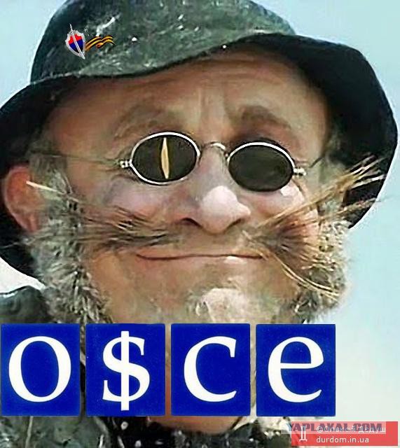 Митингующие в Донецке разрисовали машины ОБСЕ