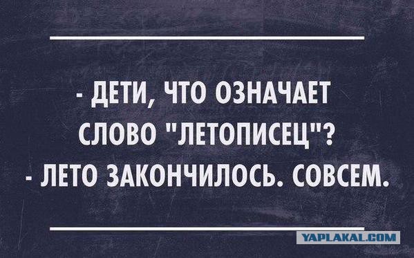 Смешные комментарии 16.08.2015