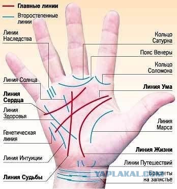 Полезности