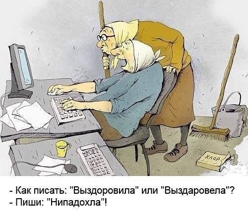 Прикольные картинки