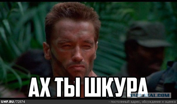 Кто еще хочет в отпуск?