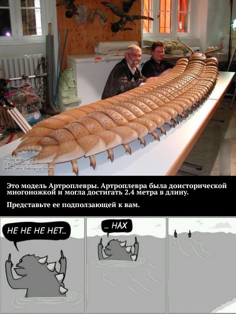 Сколопендры: инопланетные убийцы, живущие в наших домах