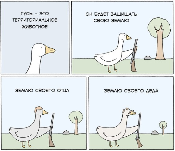 Сборище абсурда