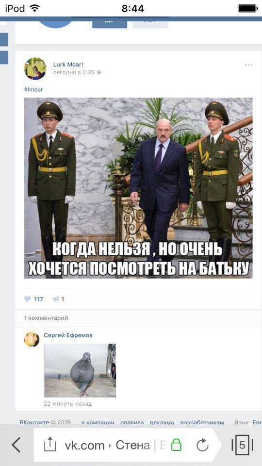 Ужасы и приколы из соцсетей 18+