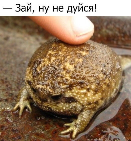 Юмор не для всех