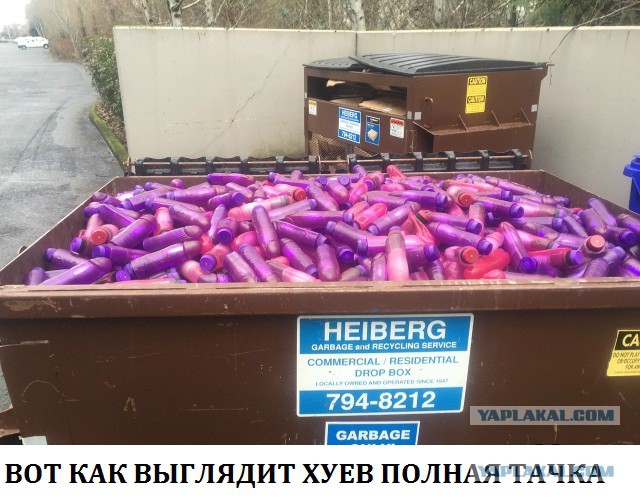 Картинки из буржуйских инторнетов