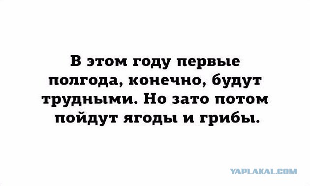 Из апатии в бедность