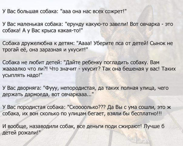 29 картинок