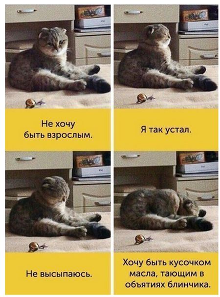 130 картинок для поднятия настроения!