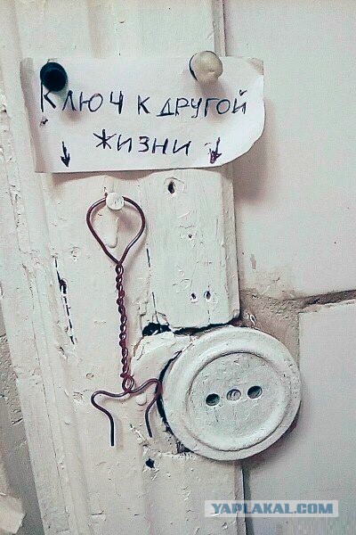 Несколько веселых картинок