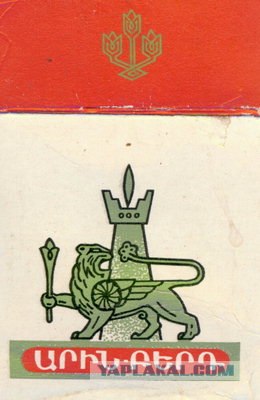 Мой муж - фальшивомонетчик.