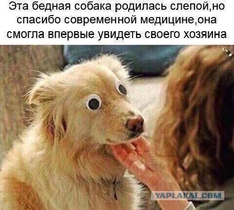 Неадвекат пришёл, открывайте! Картинкопост.