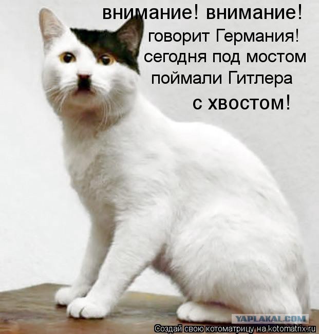 У берегов Дании нашли "таинственную подлодку Гитлера", на которой он мог сбежать