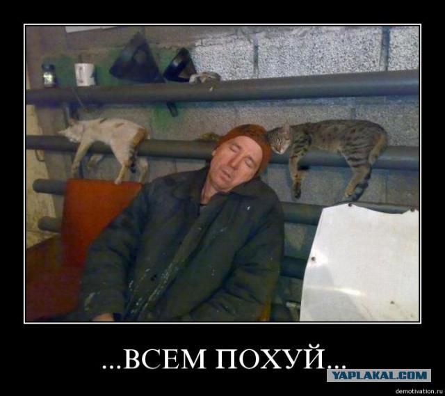 Вагенкнехт в хлам раскатала Меркель