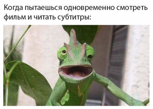 Нестандартный юмор