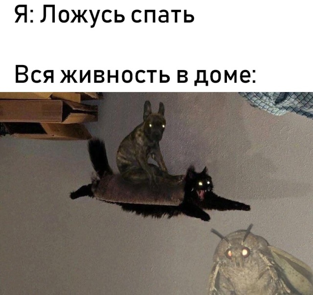 Нестандартный юмор