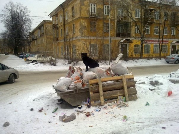 WTF: что тут происходит?